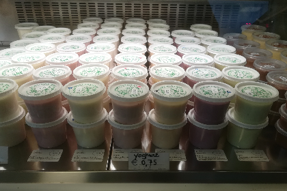 Yoghurt met appel kiwi 200gr